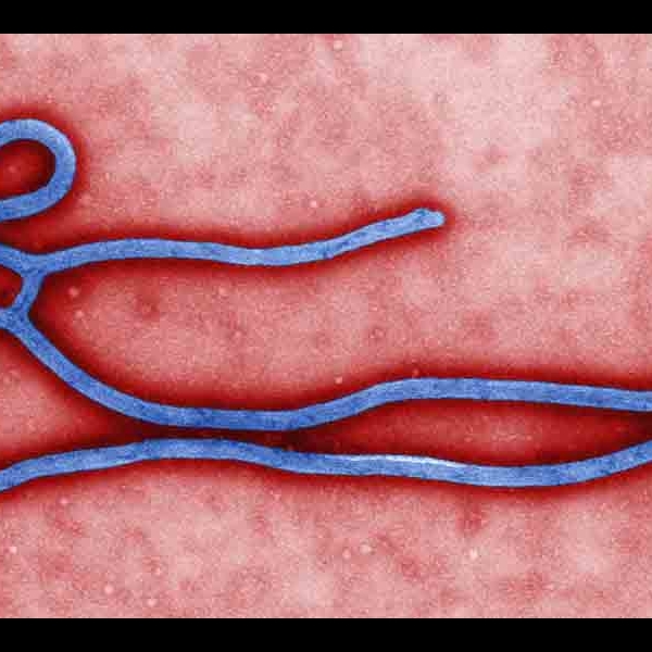 #EbolaChallenge